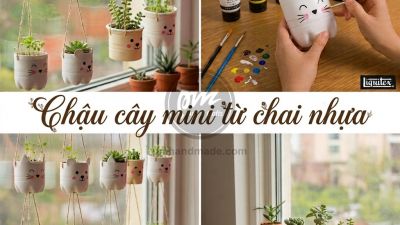 Chậu cây mini đơn giản từ chai nhựa