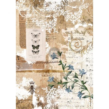 Giấy dán gỗ mẫu botanical sonata - 11.5" x 16.25"