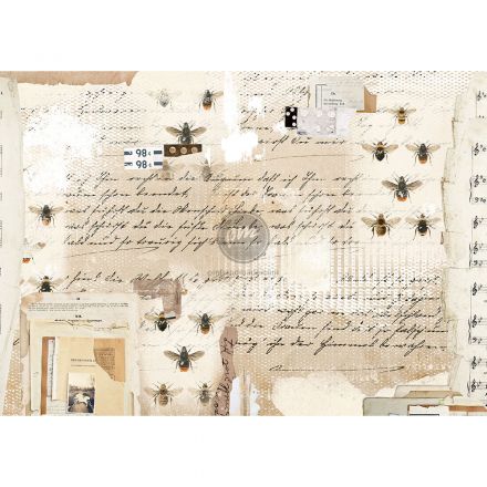 Giấy dán gỗ mẫu mysterious notes - 11.5" x 16.25"